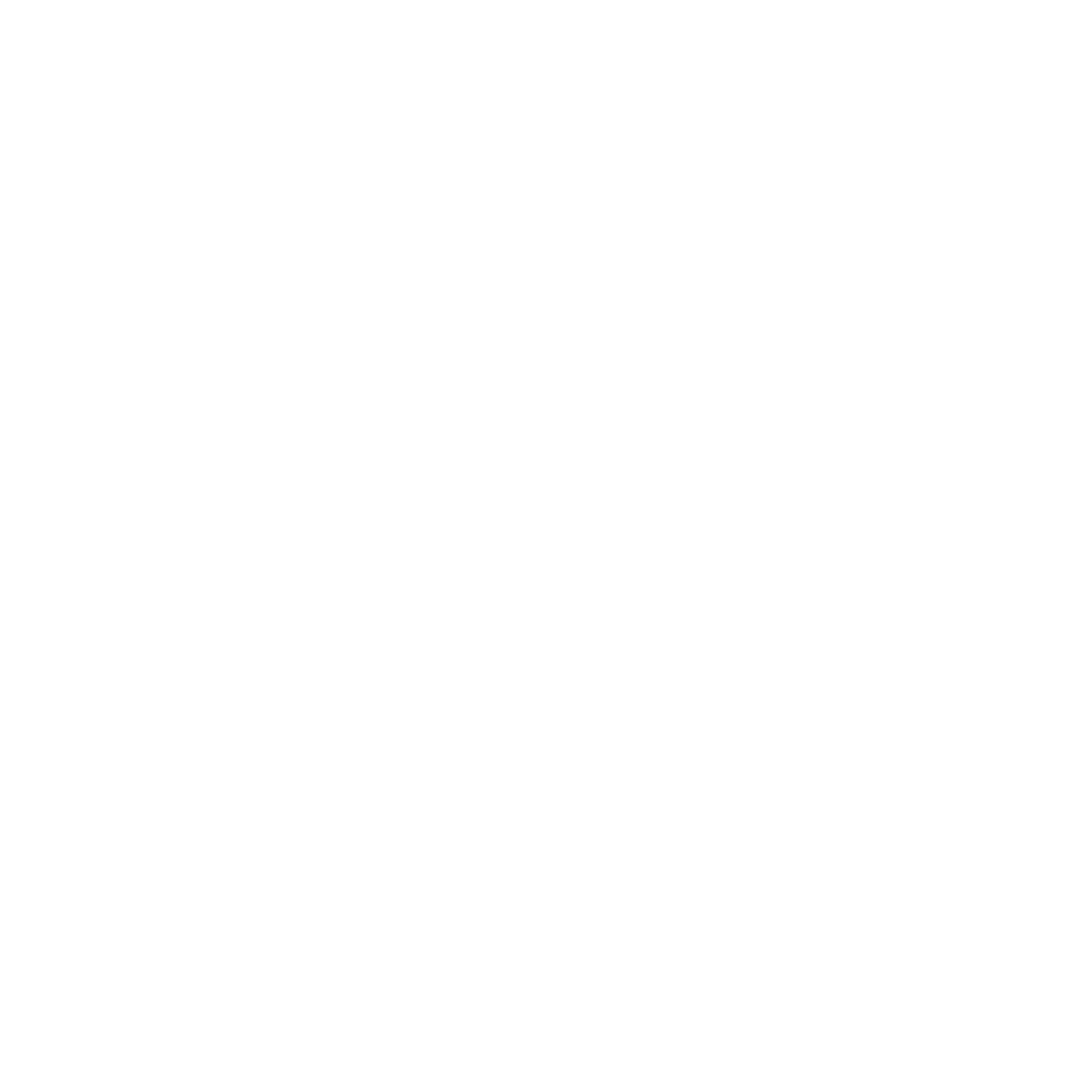 Guardian Shield